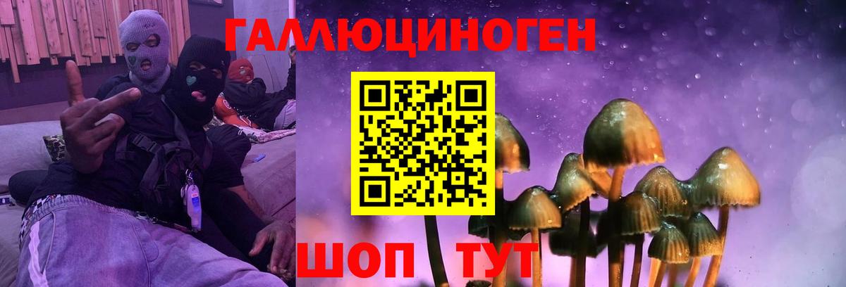 Галлюциногенные грибы GOLDEN TEACHER Гудермес
